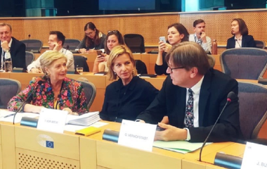 Poziţia ”divergentă” a Londrei cu privire la Brexit subminează relaţia viitoare cu UE, avertizează Guy Verhofstadt