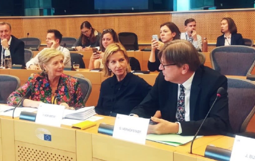 Poziţia ”divergentă” a Londrei cu privire la Brexit subminează relaţia viitoare cu UE, avertizează Guy Verhofstadt