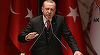 Erdogan ameninţă să trimită 3,6 milioane de migranţi în Europa, răspunzând criticilor europenilor faţă de ofensiva turcă în Siria