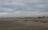 Amânarea Brexitului antrenează amânarea unei ”beach party” tematice în Olanda