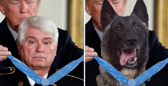 Trump postează pe Twitter un montaj fotografic în care-l decorează pe câinele ”erou” Conan