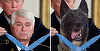 Trump postează pe Twitter un montaj fotografic în care-l decorează pe câinele ”erou” Conan