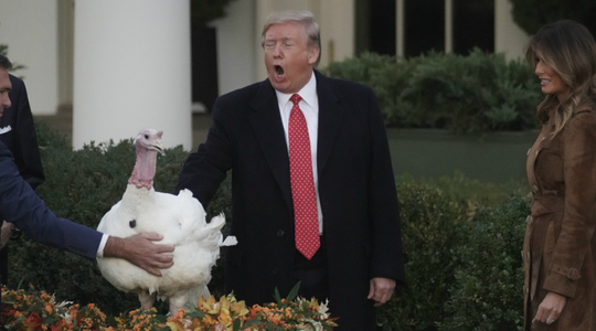 Doi curcani, ”Bread” şi ”Butter”, graţiaţi de Thanksgiving de Trump, care ironizează destituirea, presa şi pe democraţi