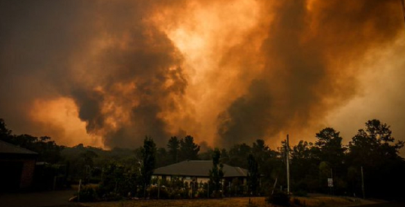 Incendiile de vegetaţie din Australia: şapte persoane au murit, peste 200 de case au fost distruse