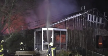 Germania - Zeci de maimuţe au murit în urma unui incendiu la grădina zoologică din Krefeld - VIDEO
