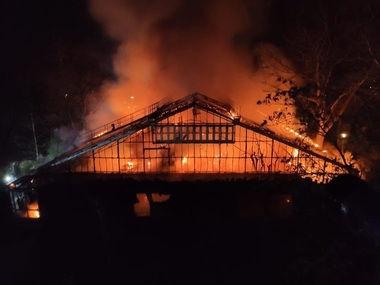 Incendiul de la grădina zoologică din Krefeld - O mamă şi cele două fiice au recunoscut că au lansat lampioanele de Anul Nou