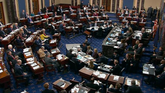 Procesul destituirii lui Trump - Senatorii americani, criticaţi pentru că au adormit şi s-au jucat în timpul audierilor