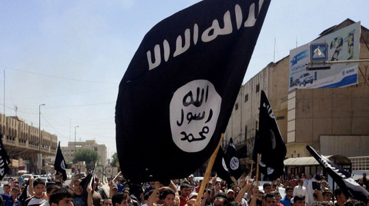 Statul Islamic, ”intact” în pofida morţii lui al-Baghdadi, relevă Inspectorul General al Pentagonului într-un raport