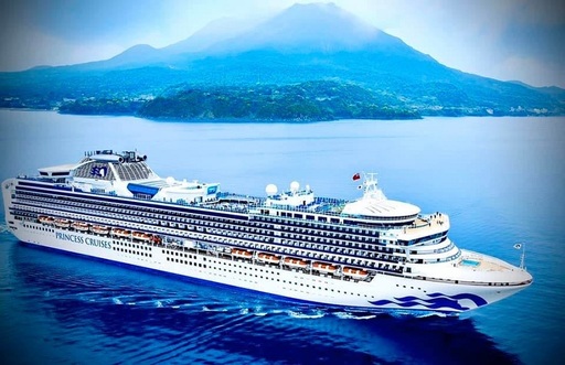 Situaţie "haotică" la bordul Diamond Princess, avertizează un expert japonez