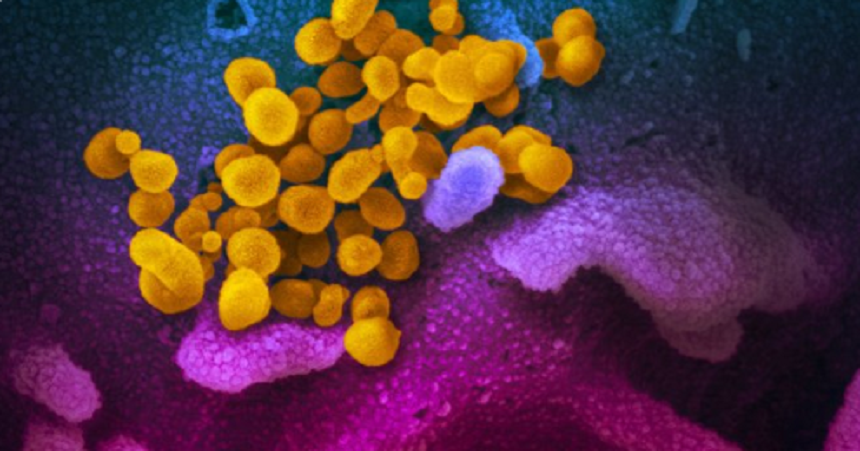 Noul coronavirus poate supravieţui timp de mai multe ore în aer liber, relevă un studiu