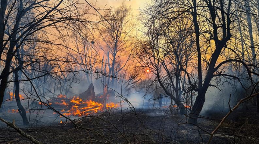 Suprafaţa incendiului de pădure din zona de excludere de la Cernobîl, provocat de un tânăr, a crescut de trei ori