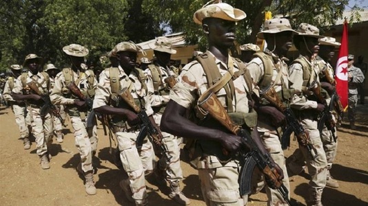 Armata din Ciad anunţă că a ucis într-o operaţiune până la 1.000 de luptători ai organizaţiei Boko Haram