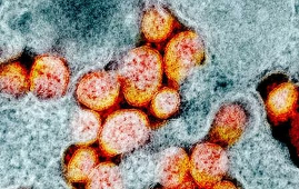 Epidemia noului coronavirus ar fi început de la jumătatea lui septembrie 2019 şi nu la Wuhan, ci în Guangdong, relevă un studiu