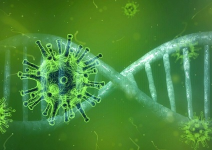Noul coronavirus nu a fost creat de om sau modificat genetic - serviciile de informaţii americane 