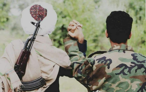 Armistiţiul, respectat în a doua zi de încetare a focului în Afganistan