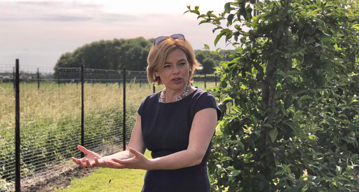 Germania ridică de la 16 iunie restricţiile impuse din cauza pandemiei covid-19 muncitorilor sezonieri, majoritatea din România şi Polonia; ei sunt obligaţi să respecte distanţarea socială şi să muncească în ”echipe fixe”