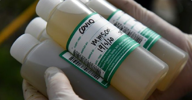 Noul coronavirus SARS-Cov-2, prezent în ape uzate la Milano şi Torino, în nordul Italiei, încă din decembrie 2019