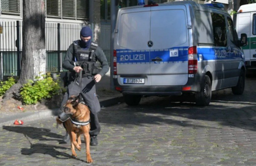 Germania interzice gruparea neonazistă ”Nordadler”, care voia să înfiinţeze o comunitate neonazistă în zona rurală 