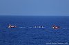 Italia: 180 de migranţi salvaţi de nava Ocean Viking vor fi transferaţi pe o altă ambarcaţiune şi vor sta 14 zile în carantină