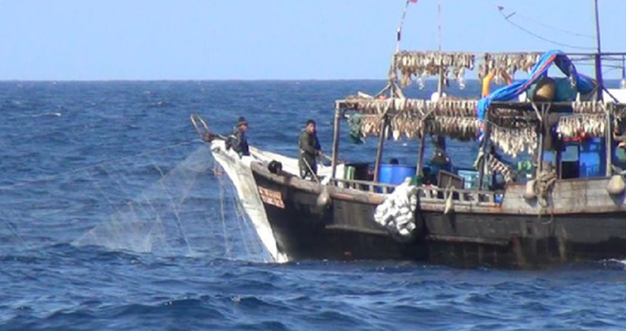 Sute de vapoare chineze pescuiesc ilegal în Coreea de Nord, încălcând sancţiuni ONU şi obligând pescarii nord-coreeni să pescuiască în apele Rusiei