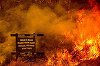 Cel puţin patru persoane au murit în incendiile din California. Sunt mobilizaţi peste 10.000 de pompieri