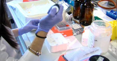Un vaccin împotriva covid-19 al Johnson & Johnson, testat în Spitalul la Paz din Madrid în primele teste clinice, în faza 2, din Spania de la începutul epidemiei