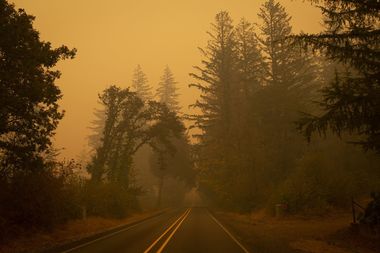 Incendiile din Oregon: Un băiat de 13 ani a fost găsit mort într-o maşină, cu câinele său în braţe