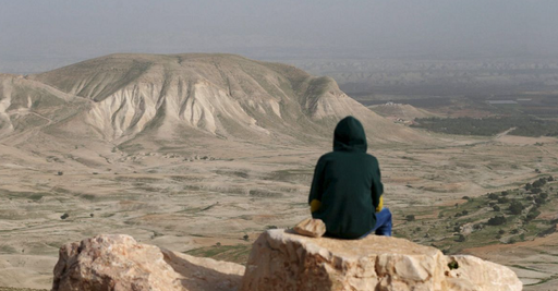Franţa îndeamnă Israelul să-şi suspende ”definitiv” planurile de anexare a unor teritorii palestiniene