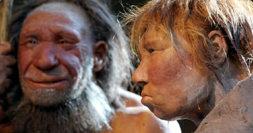 ADN moştenit de la omul de Neanderthal poate agrava forme de covid-19