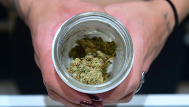 ALEGERI ÎN SUA New Jersey şi Arizona legalizează marijuana; Oregonul legalizează psilocibina în scop terapeutic; Uber obţine câştig de cauză în California; Florida creşte salariul minim; Colorado respinge interzicerea avortului