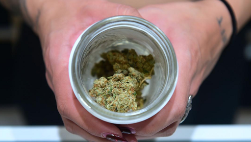 ALEGERI ÎN SUA New Jersey şi Arizona legalizează marijuana; Oregonul legalizează psilocibina în scop terapeutic; Uber obţine câştig de cauză în California; Florida creşte salariul minim; Colorado respinge interzicerea avortului