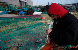 Grupuri de presiune din sectorul britanic al pescuitului îi cer lui Johnson să fie ferm în încheierea unui acord cu UE