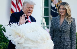 Donald Trump îl graţiază pe curcanul ”Porumb” de un Thanksgiving marcat de pandemia covid-19