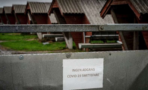 Danemarca: Milioane de nurci sacrificate în noiembrie vor fi dezgropate anul viitor şi incinerate