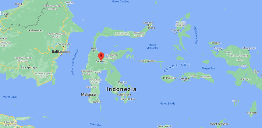 Cutremur cu magnitudine de 6,2 în insula indoneziană Sulawesi - Cel puţin 7 oameni au murit