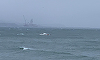 Cel puţin patru oameni au murit după ce o navă cargo sub pavilion rusesc s-a scufundat în Marea Neagră