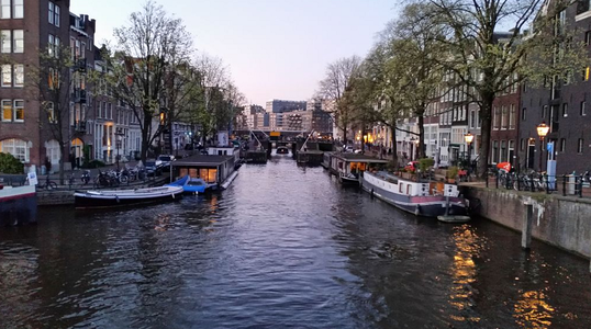 Covid-19: Parlamentul olandez a aprobat interdicţia de circulaţie pe timpul nopţii 