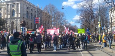 Mii de oameni au participat la Viena la un protest faţă de restricţiile din pandemie - VIDEO