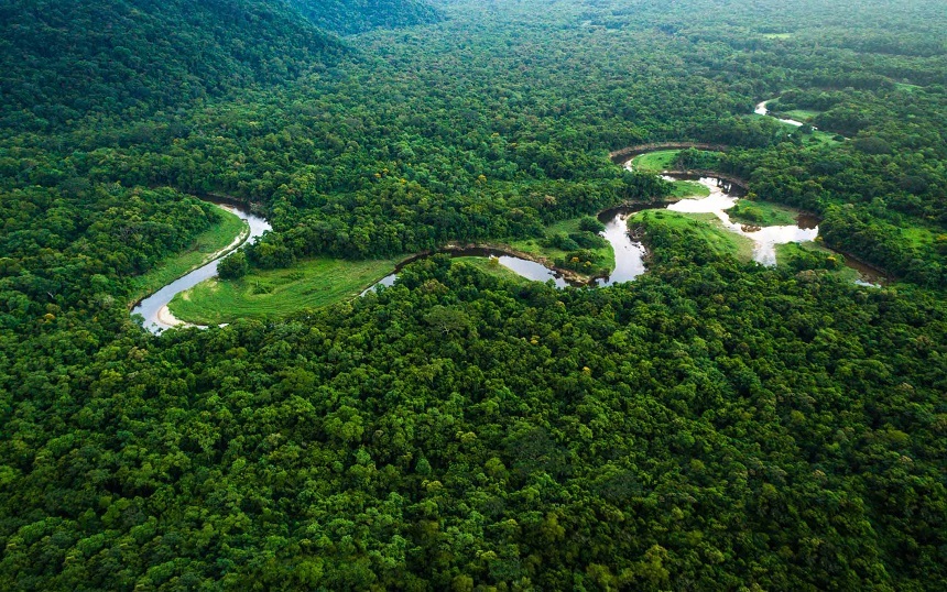 Analiză: Oamenii au degradat sau distrus circa două treimi din pădurile tropicale ale lumii