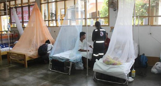 Peru, afectat, în afară de covid-19, de o epidemie de denga
