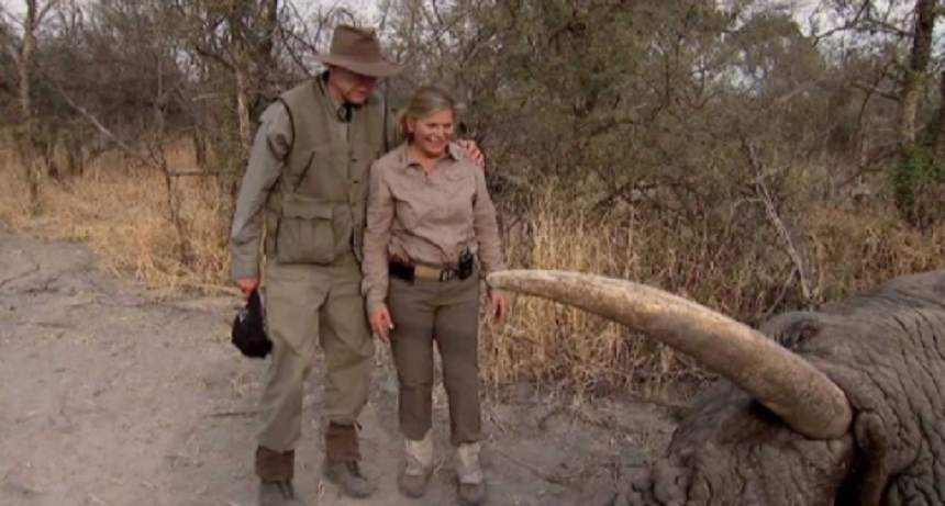 Furie în SUA, în urma difuzării unei înregistrări video în care şeful lobby-ului armelor de foc NRA Wayne LaPierre şi soţia sa ucid elefanţi la o vânătoare în Botswana