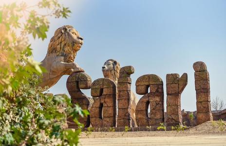 Doi lei au fost testaţi pozitiv cu coronavirus la un parc safari din India
