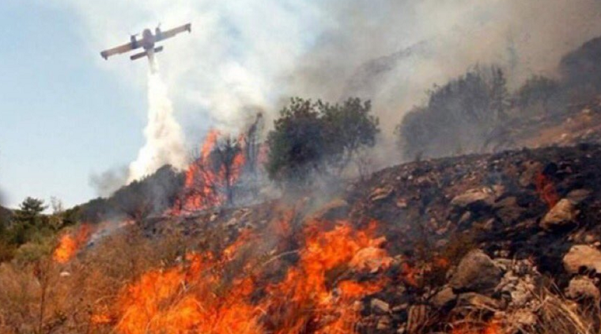 Un uriaş foc de pădure din Cipru, soldat cu patru morţi egipteni şi care s-a extins la opt localităţi în masivul forestier Troodos, ”în întregime sub control”, anunţă autorităţăile