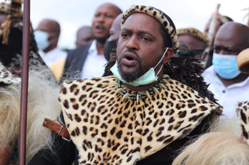 Tânărul rege zulu Misuzulu Zulu îndeamnă ”la pace” în Africa de Sud, unde jafuri şi incendii se multiplică de o săptămână; aceste violenţe ”ne-au adus tuturor o mare ruşine”; ”Poporul tatălui meu este pe cale să se sinucidă”