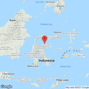 Cutremur de magnitudinea 6,2 în largul Insulei indoneziene Sulawesi