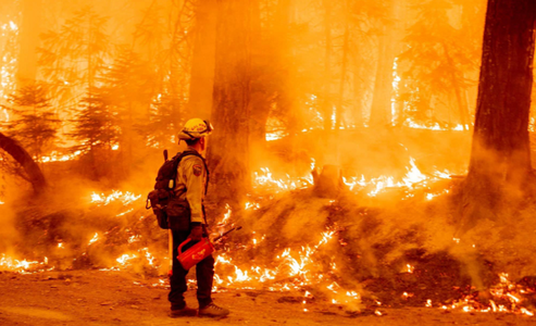 Pompierii dn California luptă împotriva Dixie Fire, un incendiu care îşi generează propria climă; la originea incendiului s-ar afla căderea unui copac pe linia electrică Pacific Gas & Company, vinovată de cauzarea incendiului Camp Fire în 2018