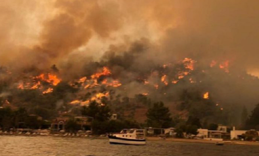 Opt morţi în incendiile din Turcia; UE trimite trei avioane de tip Canadair în ajutor; Erdogan, criticat din cauza felului în care gestionează criza