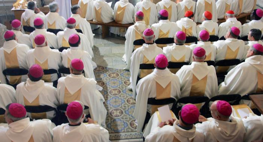 Indemnizarea victimelor abuzurilor sexuale din Biserica Catolică franceză, finanţată prin vânzarea de bunuri imobile sau împrumut, anunţă Conferinţa Episcopilor din Franţa