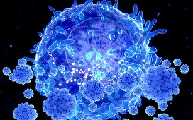 O nouă variantă a noului coronavirus SARS-CoV-2, descoperită în Africa de Sud; varianta B.1.1.529 prezintă un număr ”extrem de mare” de mutaţii iar cercetătorii nu sunt siguri de eficienţa vaccinurilor anticovid împotriva acesteia