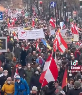 Peste 40.000 de oameni au demonstrat sâmbătă la Viena pentru a contesta restricţiile legate de Covid-19 şi planurile de a face vaccinarea obligatorie